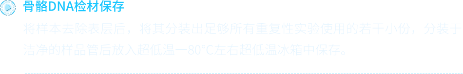 现场白骨化尸体骨骼的保存