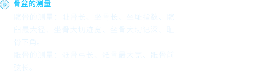 骨骼的测量