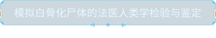 模拟白骨化尸体的法医人类学检验与鉴定