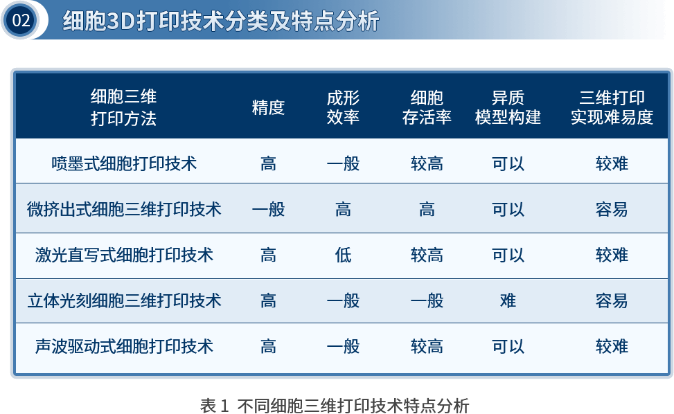 项目简介